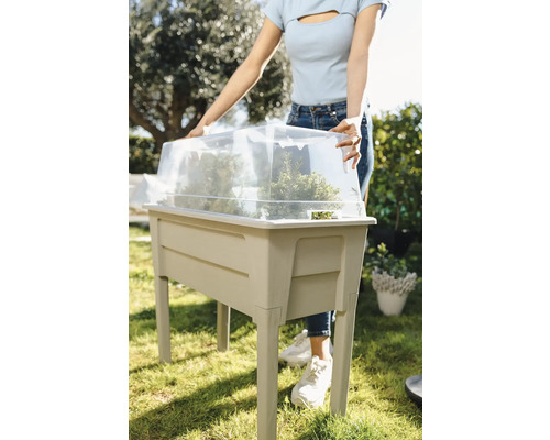 Zvýšený záhon s průhledným krytem a rostlinami na zahradě