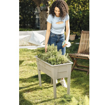 Žena zalévá bylinky ve vyvýšeném záhonu na zahradě.