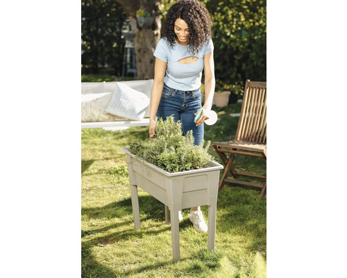 Žena zalévá bylinky ve vyvýšeném záhonu na zahradě.