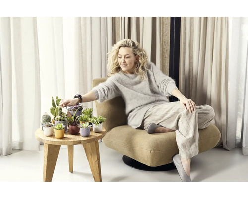 Žena sedí v křesle vedle odkládacího stolku s různými kaktusy a sukulenty v ozdobných květináčích.