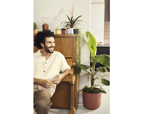 Muž sedí u klavíru vedle pokojových rostlin v květináčích