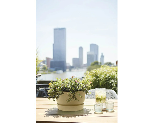 Květináč s květinami na stole s nápoji a panorama města v pozadí