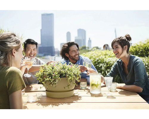 Skupina lidí sedí u stolu s květináčem a nápoji