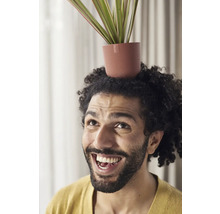 Muž s texturovaným květináčem na hlavě a rostlinou uvnitř