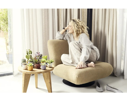 Žena sedí v křesle vedle stolu se sukulenty a kaktusy v květináčích