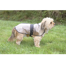 Pes s pláštěnkou pro psy na louce