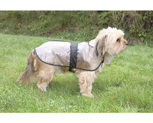 Pes s pláštěnkou pro psy na louce