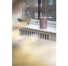 Scéna s mísou a čističkou vzduchu na okenním parapetu.