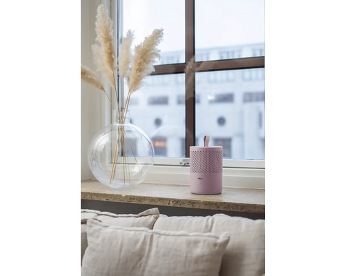 Dekorativní scéna s vázou, okrasnou trávou a čističkou vzduchu na okenním parapetu