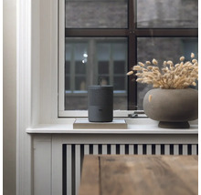 Čistička vzduchu stojí na okenním parapetu vedle vázy se sušenými květinami.