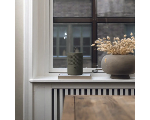 Snímek scény s reproduktorem, váza se sušenými květinami a stůl