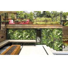 Venkovní prostor se zelenou stěnou, lavičkou a ohništěm