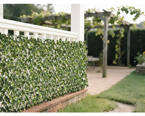 Dekorativní zelená rohož z listů jako clona v zahradě.