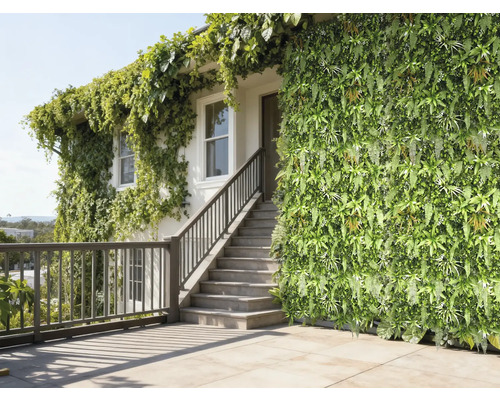 Fasáda domu s vertikální zahradou a popínavými rostlinami