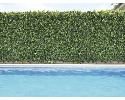 Dekorativní zelená rostlinná stěna vedle bazénu.