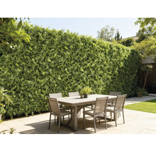 Venkovní scéna s jídelním stolem a zelenou stěnou jako ochranou soukromí v zahradě.