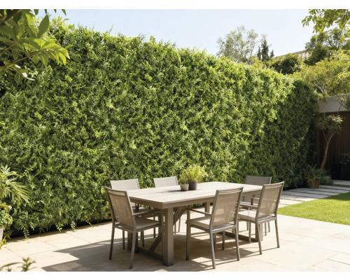 Venkovní scéna s jídelním stolem a zelenou stěnou jako ochranou soukromí v zahradě.