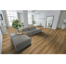 Světlý obývací pokoj s dřevěnou podlahou, pohovkou a postelí