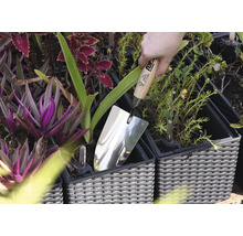 Nerezová lžíce v květináči mezi rostlinami