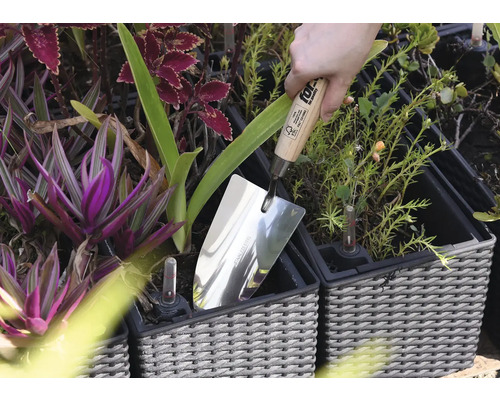 Nerezová lžíce v květináči mezi rostlinami