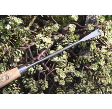 Vypichovač plevele s dřevěnou rukojetí před rostlinami