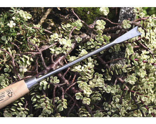 Vypichovač plevele s dřevěnou rukojetí před rostlinami