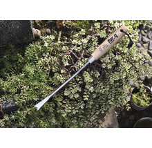 Vypichovač plevele s dřevěnou rukojetí pro zahradnické práce