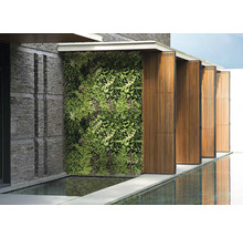 Venkovní pohled se zelenou stěnou, kamennou zdí a odrazem vody