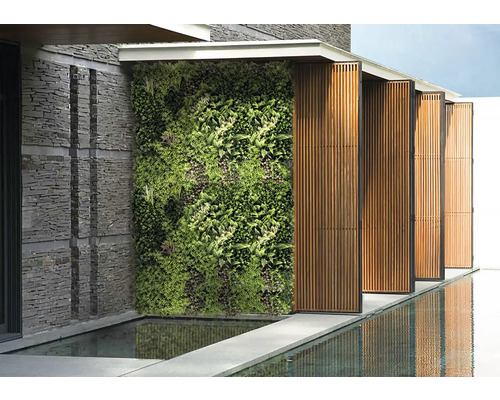 Venkovní pohled se zelenou stěnou, kamennou zdí a odrazem vody