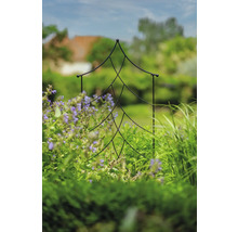 Zahradní scéna s podpěrou pro popínavé rostliny ve tvaru vánočního stromku mezi rostlinami