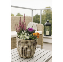 Ozdobné květiny a rostliny v proutěném košíku na venkovním stole.