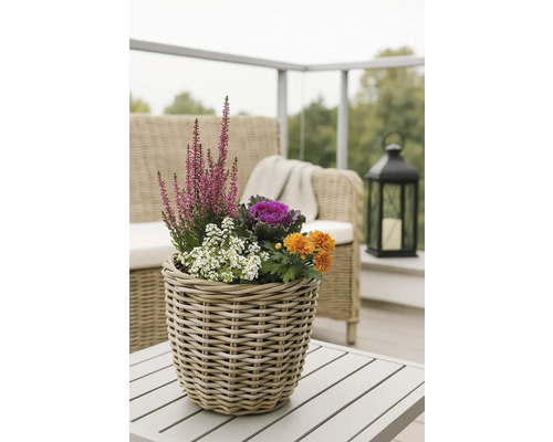 Ozdobné květiny a rostliny v proutěném košíku na venkovním stole.