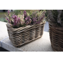 Vřes v proutěném košíku