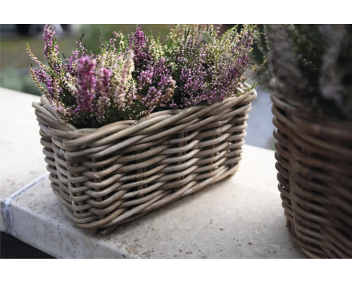 Vřes v proutěném košíku
