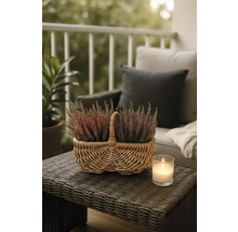 Dekorativní vřesovištní rostliny v proutěném košíku na zahradním stole se svíčkou