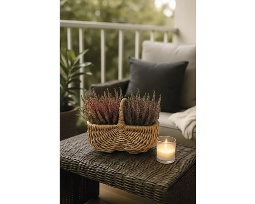 Dekorativní vřesovištní rostliny v proutěném košíku na zahradním stole se svíčkou