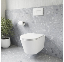 Moderní koupelna se závěsným WC, splachovací nádržkou, držákem toaletního papíru a pokojovou rostlinou