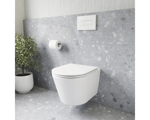 Moderní koupelna se závěsným WC, splachovací nádržkou, držákem toaletního papíru a pokojovou rostlinou