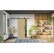 Interiér s posuvným dveřním systémem, knihovnou a pokojovými rostlinami pro útulnou atmosféru.