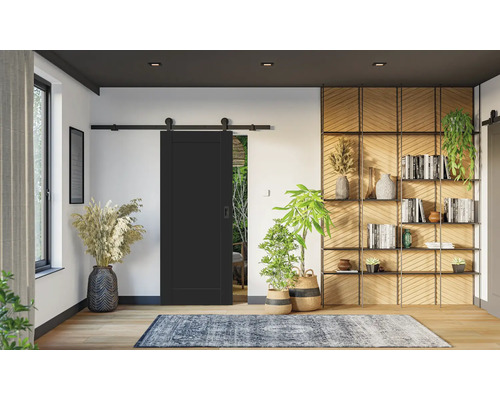 Obývací pokoj s černými posuvnými dveřmi, knihovnou a pokojovými rostlinami