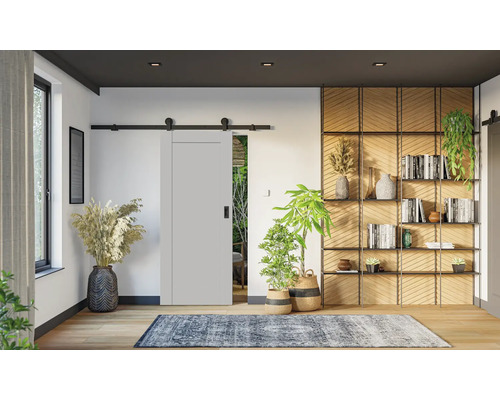 Obývací pokoj s posuvnými dveřmi, knihovnou a okrasnými rostlinami
