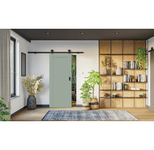 Obývací pokoj s posuvným dveřním systémem, regálem a pokojovými rostlinami