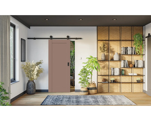 Návrh interiéru s posuvnými dveřmi, regálem a pokojovými rostlinami pro světlý a moderní obytný prostor.