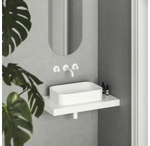 Moderní koupelna s umyvadlem na desku, vodovodní baterií, zrcadlem a rostlinou.