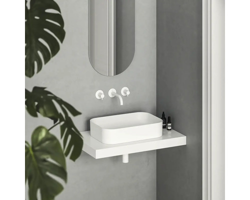 Moderní koupelna s umyvadlem na desku, vodovodní baterií, zrcadlem a rostlinou.