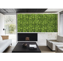 Obývací pokoj se zelenou stěnou, krbem a nábytkem