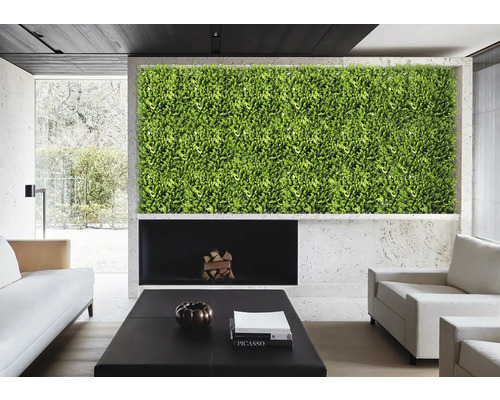 Obývací pokoj se zelenou stěnou, krbem a nábytkem