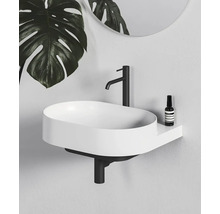 Moderní koupelnové umyvadlo s černou armaturou a rostlinami