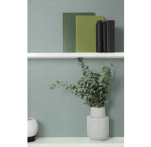 Dekorativní scéna s policemi, knihami a vázou s eukalyptem