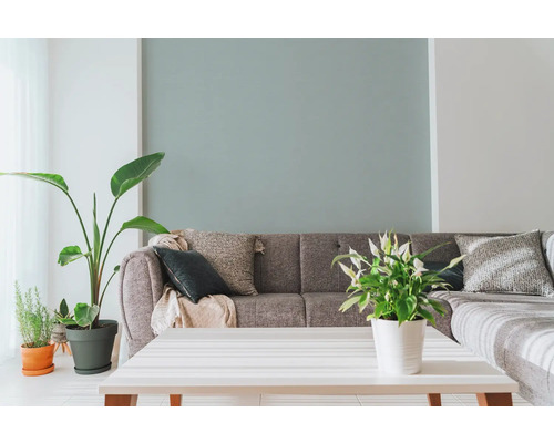 Obývací pokoj s šedou pohovkou, okrasnými polštáři, pokojovými rostlinami a bílým stolem